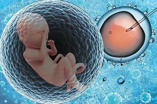 专业孕妈供卵助孕包生儿子